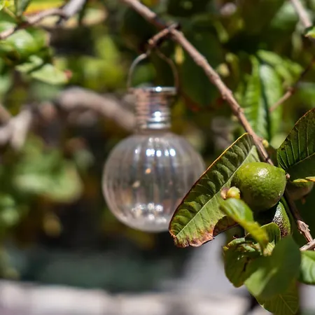 Vivelorural Tableros Great Terrace Casa vacanze