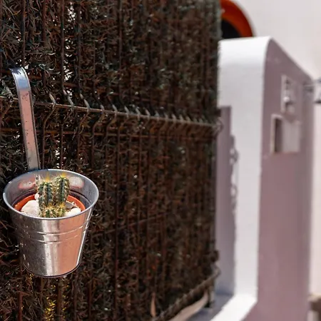 Vivelorural Tableros Great Terrace * Agaete (Gran Canaria)